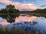 Click to see Y-GFX-50S-II-JG-0629-MOD.JPG