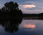 Click to see Y-GFX-50S-II-JG-0653.JPG