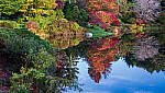 Click to see Y-GFX-50S-II-JG-0912-MOD.JPG