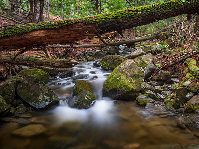 Fujifilm GFX 50S II Review: Field Test -- Gallery Image
