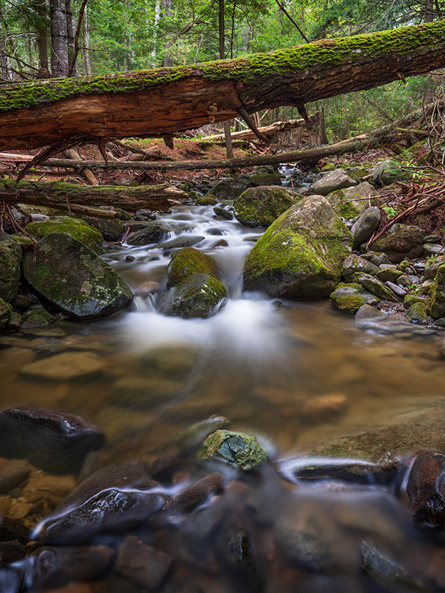 Fujifilm GFX 50S II Review: Field Test -- Gallery Image