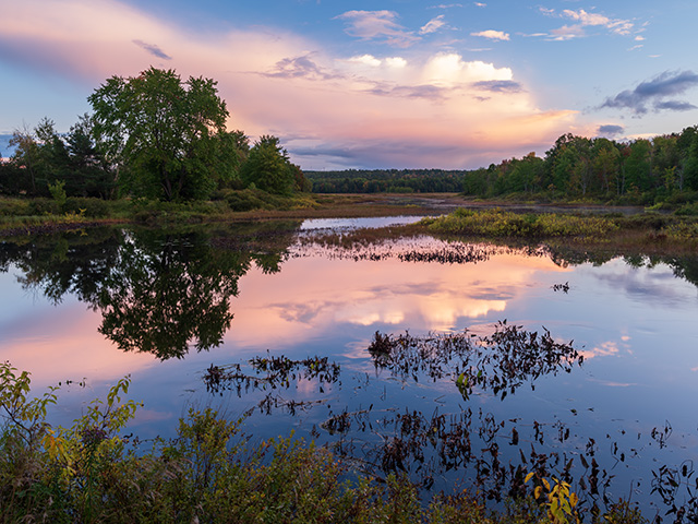 Fujifilm GFX 50S II Review: Field Test -- Gallery Image