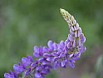 Click to see Y-GF120MM-DSF5829.JPG