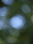 Click to see Y-GF120MM-DSF5974-BOKEH.JPG