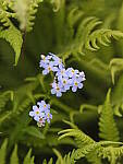 Click to see Y-GF120MM-DSF6776.JPG