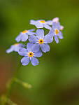 Click to see Y-GF120MM-DSF6783-MOD.JPG