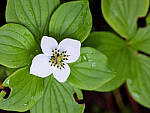 Click to see Y-GF120MM-DSF6786-MOD.JPG