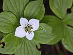 Click to see Y-GF120MM-DSF6786.JPG