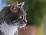 Click to see Y-GF120MM-DSF7424.JPG