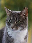 Click to see Y-GF120MM-DSF7426.JPG