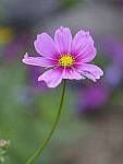 Click to see Y-GF120MM-DSF7441.JPG