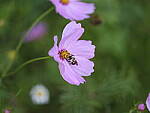Click to see Y-GF120MM-DSF7891.JPG