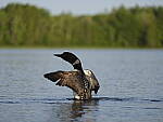 Click to see Y-GF250mm-DSF6181.JPG