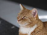 Click to see Y-GF250mm-DSF6419.JPG