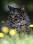 Click to see Y-GF250mm-DSF6572.JPG