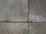 Click to see Y-GF250mm-DSF6866-SHARPNESS-TC-F5.6.JPG