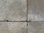 Click to see Y-GF250mm-DSF6872-SHARPNESS-TC-F45.JPG