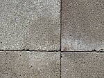 Click to see Y-GF250mm-DSF6874-SHARPNESS-F5.6.JPG