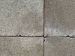 Click to see Y-GF250mm-DSF6878-SHARPNESS-F22.JPG
