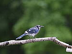 Click to see Y-GF250mm-DSF7364.JPG