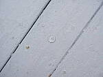 Click to see Y-GF32-64-DSF4482-CLOSE-FOCUS-64MM.JPG