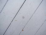 Click to see Y-GF32-64-DSF4486-CLOSE-FOCUS-32MM.JPG