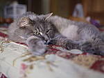 Click to see Y-GF45MM-DSF5171.JPG