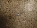 Click to see Y-GF45MM-DSF5193-CLOSE-FOCUS.JPG