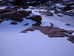 Click to see Y-GF45MM-DSF5266.JPG