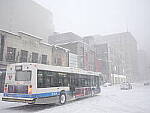 Click to see Y-GF45MM-DSF5473.JPG
