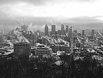 Click to see Y-GF45MM-DSF5495.JPG