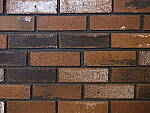 Click to see Y-GF45MM-DSF5515-SHARPNESS-F4.0.JPG
