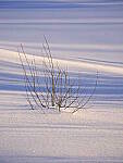 Click to see Y-JG-GF100-200-8544.JPG