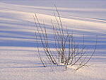 Click to see Y-JG-GF100-200-8556.JPG