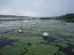 Click to see Y-JG-GF30MM-0075-BETA.JPG