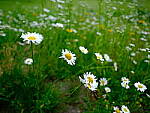 Click to see Y-JG-GF30MM-0538-BETA.JPG