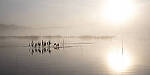 Click to see Y-JG-GF50MM-9783-MOD.JPG