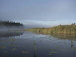 Click to see Y-JG-GF50MM-9792.JPG