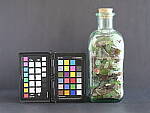 Click to see Y-fuji110f2gf_DSF3258-SHARP-CLOSE-F2.8.JPG