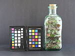 Click to see Y-fuji110f2gf_DSF3259-SHARP-CLOSE-F4.JPG