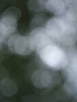 Click to see Y-fuji110f2gf_DSF3500-BOKEH-F2.JPG