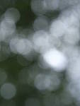 Click to see Y-fuji110f2gf_DSF3501-BOKEH-F2.8.JPG