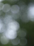 Click to see Y-fuji110f2gf_DSF3512-BOKEH-F2-HALFWAY.JPG