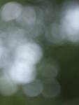 Click to see Y-fuji110f2gf_DSF3513-BOKEH-F2-TOP-LEFT.JPG