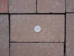 Click to see Y-fuji110f2gf_DSF3525-CLOSE-FOCUS.JPG