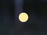 Click to see Y-fuji110f2gf_DSF3584-BOKEH-F2-CENTER.JPG