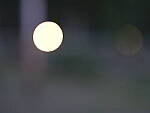 Click to see Y-fuji110f2gf_DSF3587-BOKEH-F2-HALFWAY.JPG