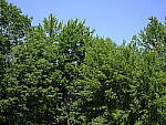 Click to see Y-fuji110f2gf_DSF3644-SHARP-FAR-F2.JPG