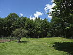 Click to see Y-fuji23f4gf-DSF2893-SHARPNESS-FAR-f5.6.JPG