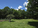 Click to see Y-fuji23f4gf-DSF2894-SHARPNESS-FAR-f8.JPG